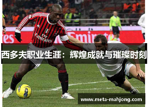 西多夫职业生涯:辉煌成就与璀璨时刻 西多夫职业生涯:辉煌成就与璀璨时刻