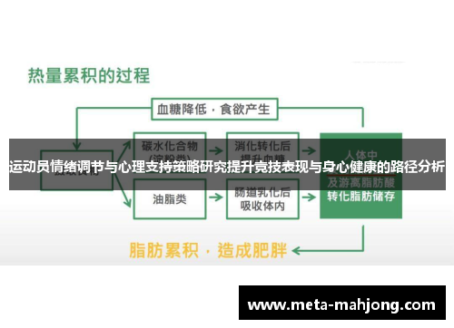 运动员情绪调节与心理支持策略研究提升竞技表现与身心健康的路径分析