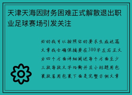 天津天海因财务困难正式解散退出职业足球赛场引发关注 天津天海因财务困难正式解散退出职业足球赛场引发关注