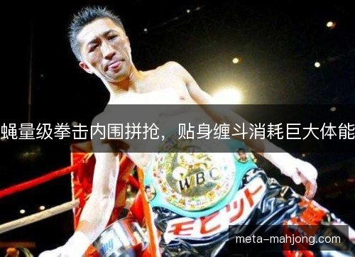 蝇量级拳击内围拼抢，贴身缠斗消耗巨大体能